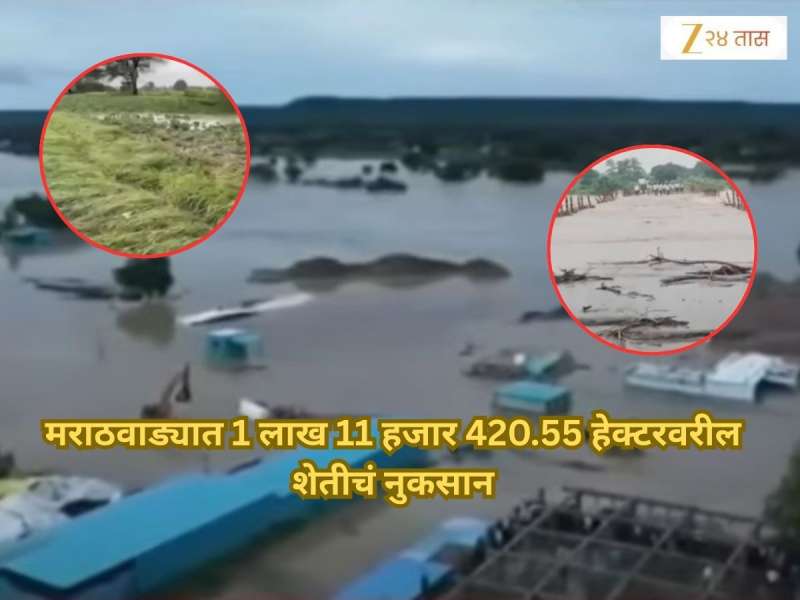 दु:खाची ढगफुटी! मराठवाड्यात 1 लाख 11 हजार 420.55 हेक्टरवरील शेतीचं नुकसान, शेतकऱ्याने फोडला हंबरडा