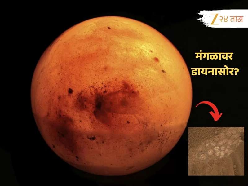 अफाट! NASA नं जे पाहिलं ते कोणालाही जमलं नाही, मंगळावर डायनासोरची अंडी?