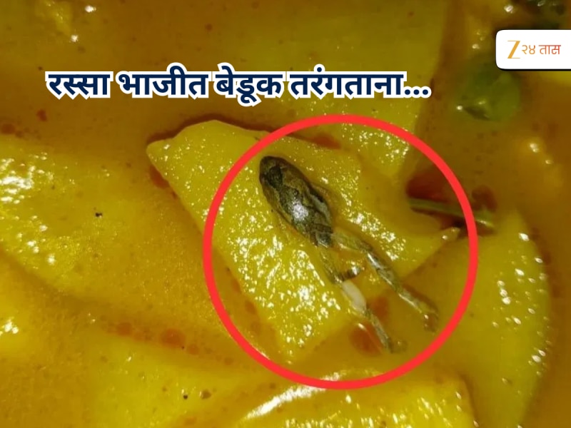 विद्यार्थ्यांच्या जीवाशी खेळ ! बटाट्याच्या भाजीवर तरंगताना दिसला बेडूक अन् चपातीमध्ये कडवटपणा, कुठे घडलाय हा धक्कादायक प्रकार? 