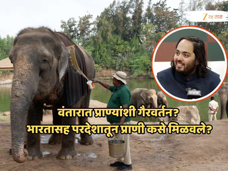 अनंत अंबानींच्या अडचणी वाढणार? वंतारात प्राण्यांशी गैरवर्तन? भारत आणि परदेशातून प्राणी कसे मिळवले? SIT ने पाठवली 200 प्रश्नांची यादी!