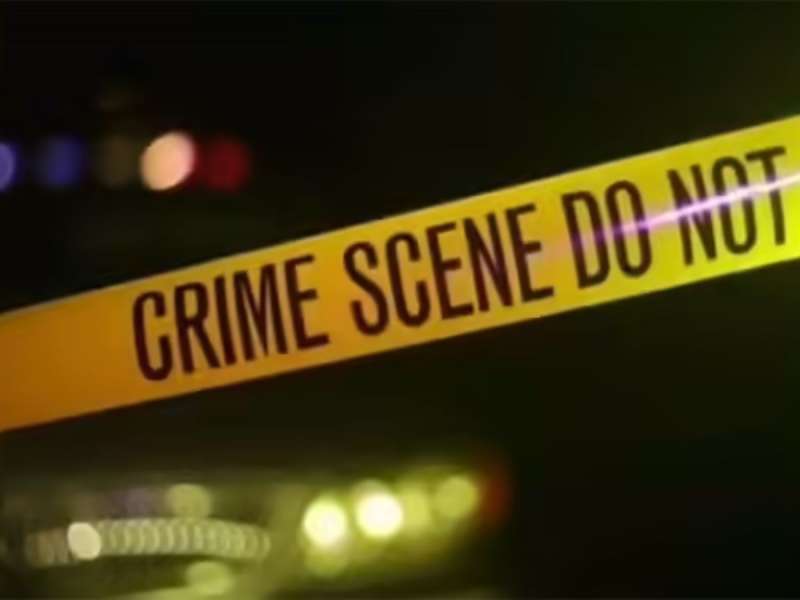 दृश्यम अन् क्राइम पेट्रोल पाहून वडिलांच्या हत्येचाच कट रचला, चेहरा जाळला अन् मग...; अंगावर शहारा आणणारी घटना