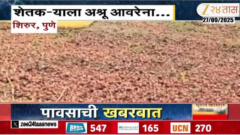 Shirur Onion Producing Farmer On Onion Rotten And Damage