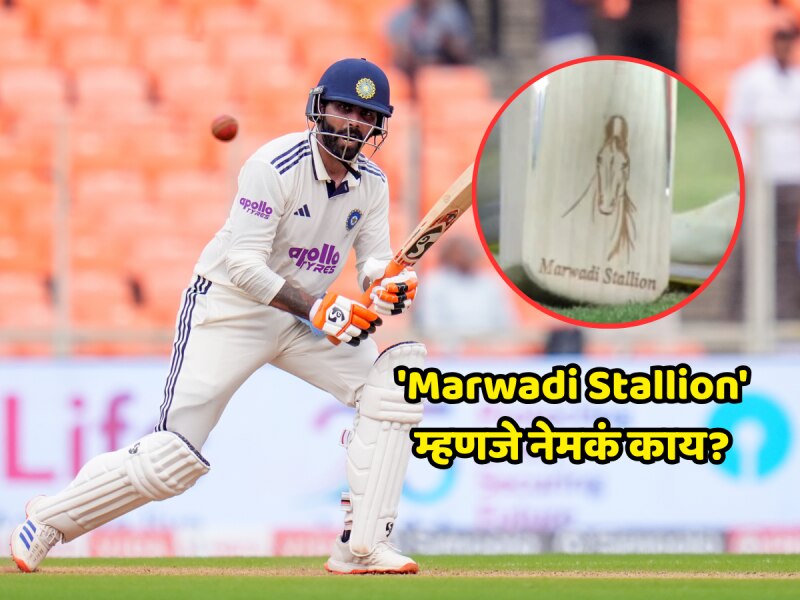 'Marwadi Stallion' म्हणजे नेमकं काय? रवींद्र जडेजाने होम ग्राउंडवर ठोकलं अर्धशतक, बॅटवरील चित्राने वेधलं लक्ष  