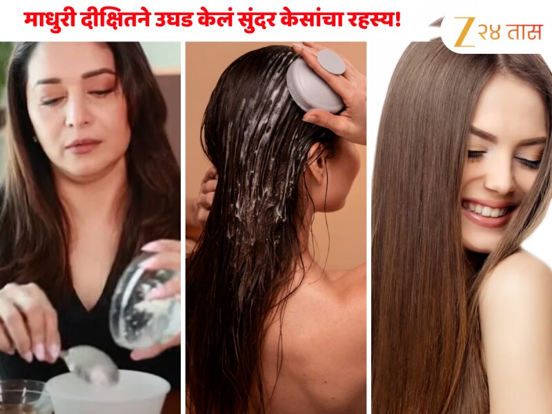 माधुरी दीक्षितने उघड केलं सुंदर केसांचा रहस्य! बनवा हा नैसर्गिक हेअर मास्क, काही दिवसांतच दिसेल फरक