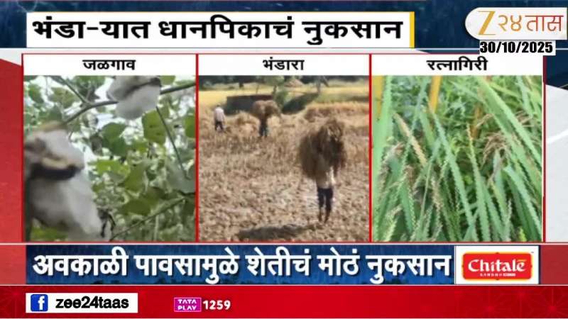 Crop loss due to Rain