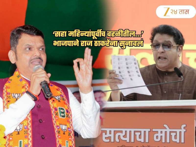 'राज ठाकरेंच्या घराचा पत्ता...', भाजपाचा निशाणा! थेट राहुल गांधीशी तुलना करत म्हणाले, 'गर्दीसमोर...'
