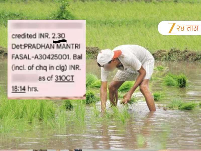 शेतकऱ्याची क्रुर चेष्टा! 7 एकरावरचं पीक आडवं झालं, पीक विम्यात दिले फक्त अडीच रुपये