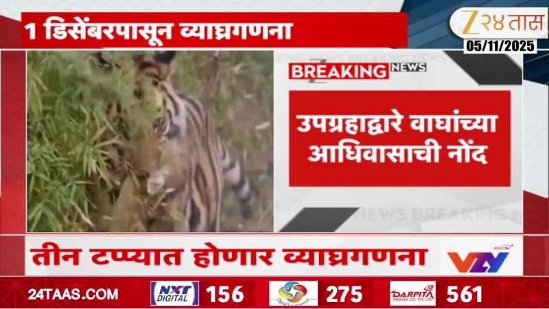 All India Tiger Census To Begin From 1 December