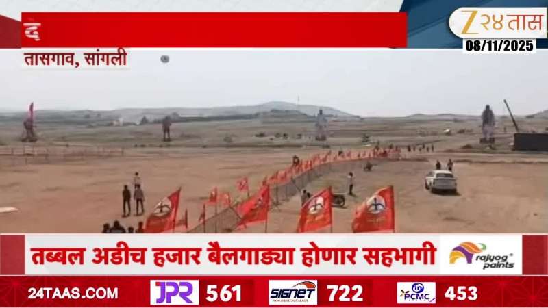 Sangli Tassgaon Biggest Ever Bullock Cart Race Preparation Ground Report