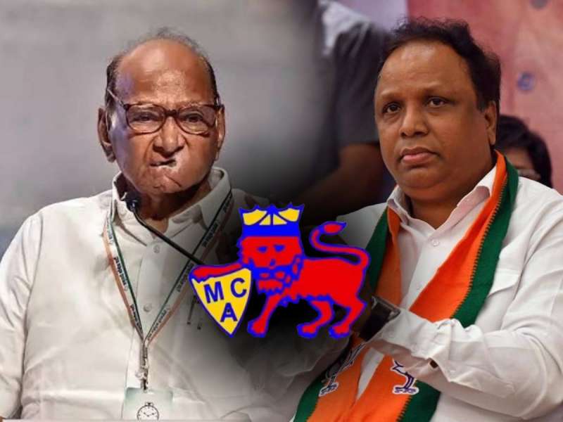 MCA निवडणुकीच्या रिंगणात 'पवार-शेलार' एकत्र! बुधवारी होणार निवडणूक, दिग्गजांची प्रतिष्ठा पणाला 