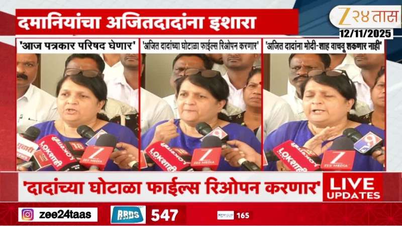 Anjalia Damania On Ajit Pawar Corruption