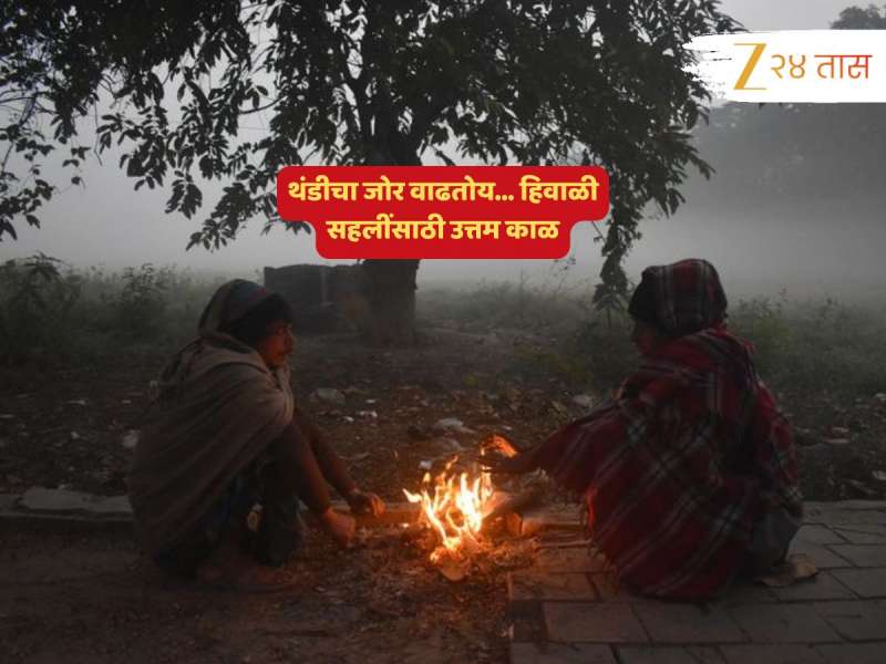 राज्यात कुठं पडलीये कडाक्याची थंडी? हिवाळ्याची भक्कम पकड असतानाही कुठे असेल पावसाची हजेरी? 