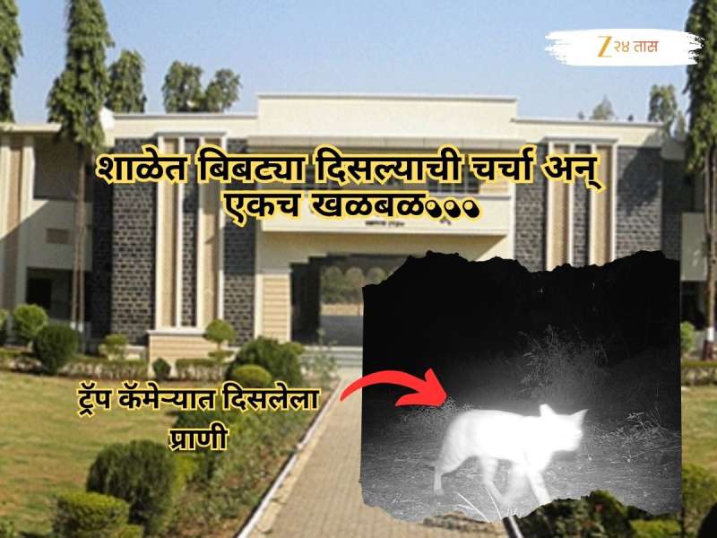 नाशिकच्या मिलिटरी स्कूलमध्ये बिबट्या दिसल्याने धावाधाव, सर्च ऑपरेशनदरम्यान समोर आलं वेगळच सत्य