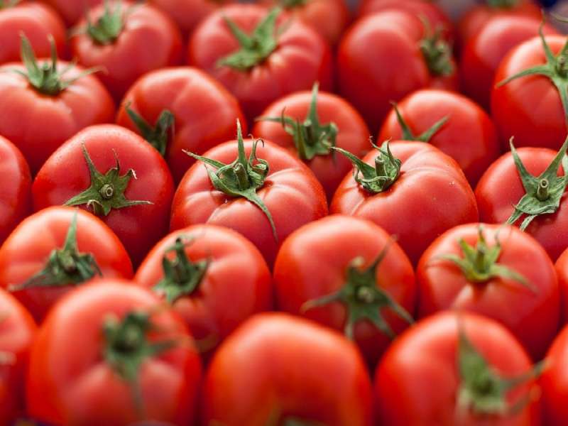 Tomato Price Hike: टॉमेटोने वाढवला सर्वसामान्यांच्या किचनचा बजेट, गेल्या 15 दिवसांत 112 टक्क्यांनी महाग; का वाढल्या किंमती?
