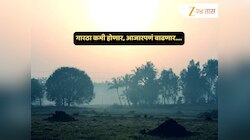 थंडीनं मारली दडी? उत्तरेकडील वाऱ्यांची दिशा बदलताच महाराष्ट्रावर परिणाम