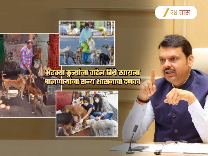 भटक्या कुत्र्यांना वाटेल तिथे खावू घालणाऱ्यांना दणका; महाराष्ट्रात नवा नियम लागू, जाणून घ्या सविस्तर