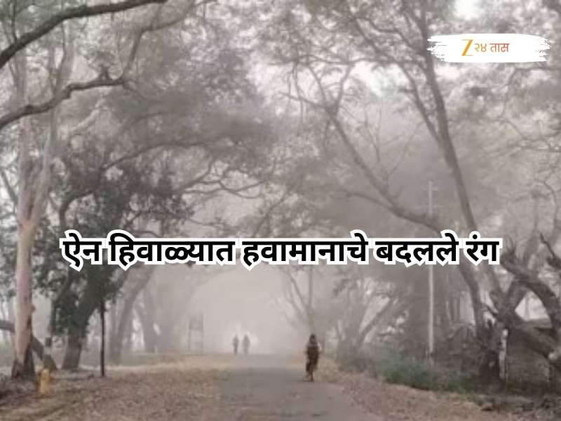 राज्यातील थंडी ओसरली, उकाडा वाढला; ऐन हिवाळ्यात हवामानाचे बदलले रंग