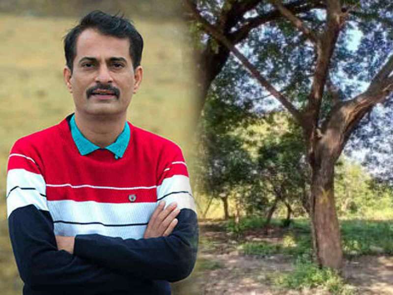 'एक मोठा मंत्री काढून त्याजागी दहा पीए ठेवले तर...', तपोवनातील वृक्षतोडीवर अरविंद जगताप संतप्त