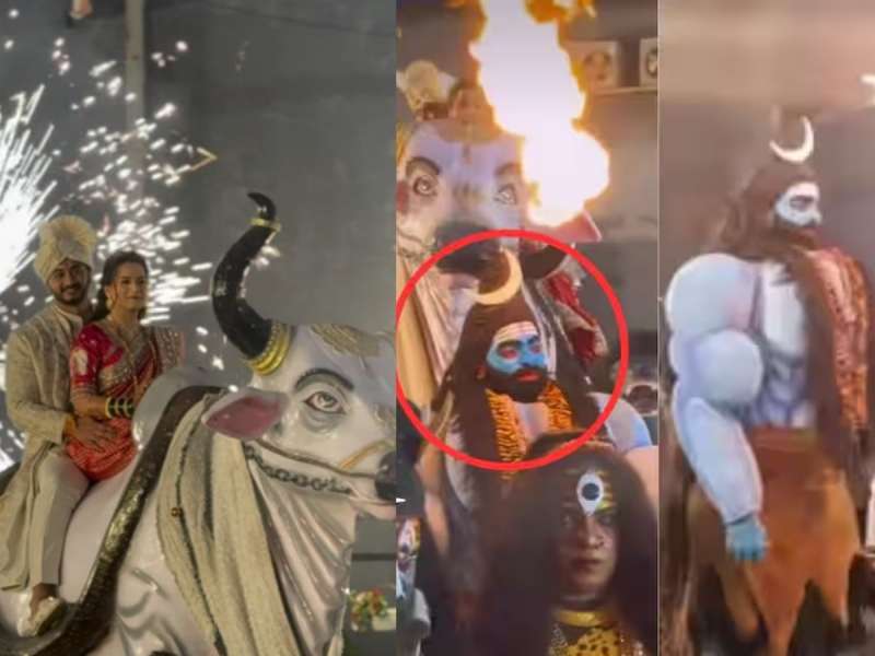 'महादेव वरातीत अन् हे थाटात नंदीवर...'; प्राजक्ता गायकवाडच्या रिसेप्शनचा व्हिडिओ पाहून नेटकरी भडकले