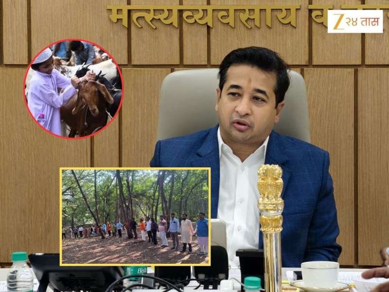 'पर्यावरणवादी झाडाप्रमाणे बकरीला का मिठी मारत नाही?', नितेश राणेंची विचारणा, 'बकरी ईदला रक्ताचे पाट वाहतात, तेव्हा..'