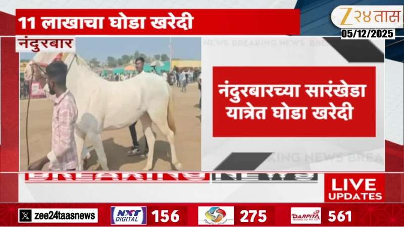 Aditya Kool Bought 11Lakh Horse