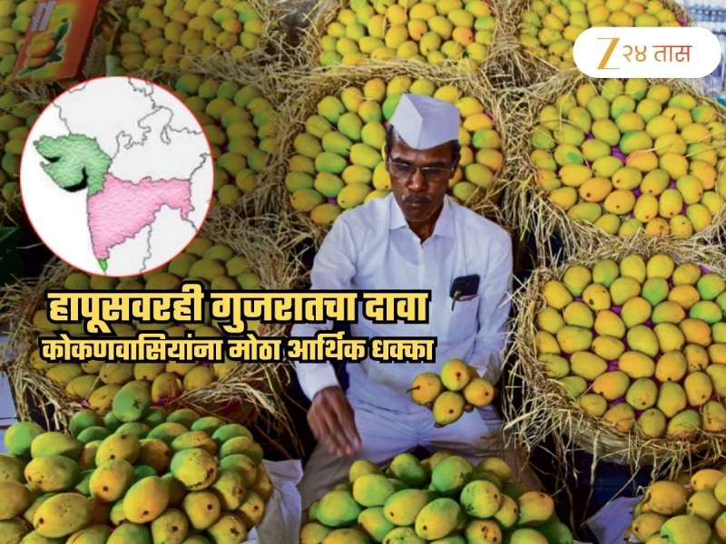 हापूसवर गुजरातचा दावा... कोकणातील आंबा उत्पदाकांना बसणार मोठा आर्थिक फटका