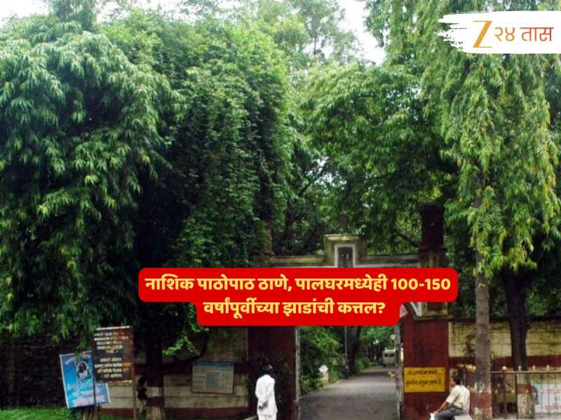 संतापाची लाट! नाशिकमागोमाग ठाणे, पालघरमध्येही 100 वर्षे जुन्या झाडांची कत्तल? सावर, साग, करवंद वृक्षांवर कुऱ्हाड