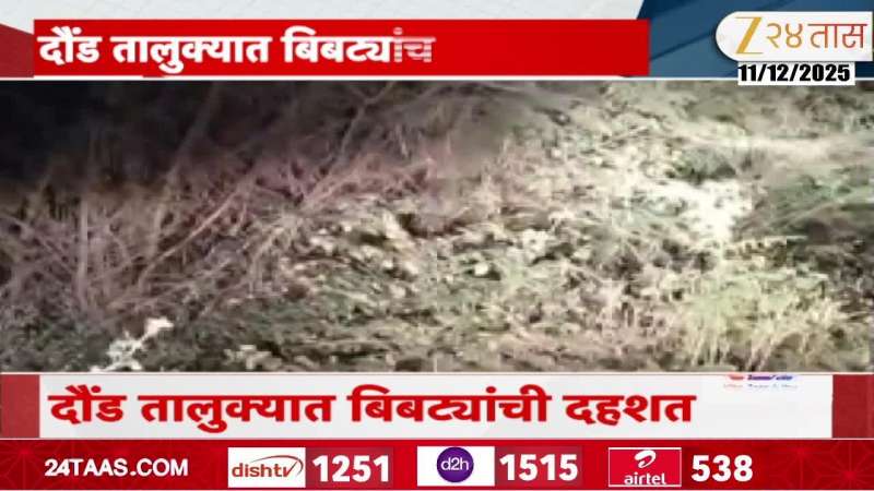 Leopard terror in Daund taluka