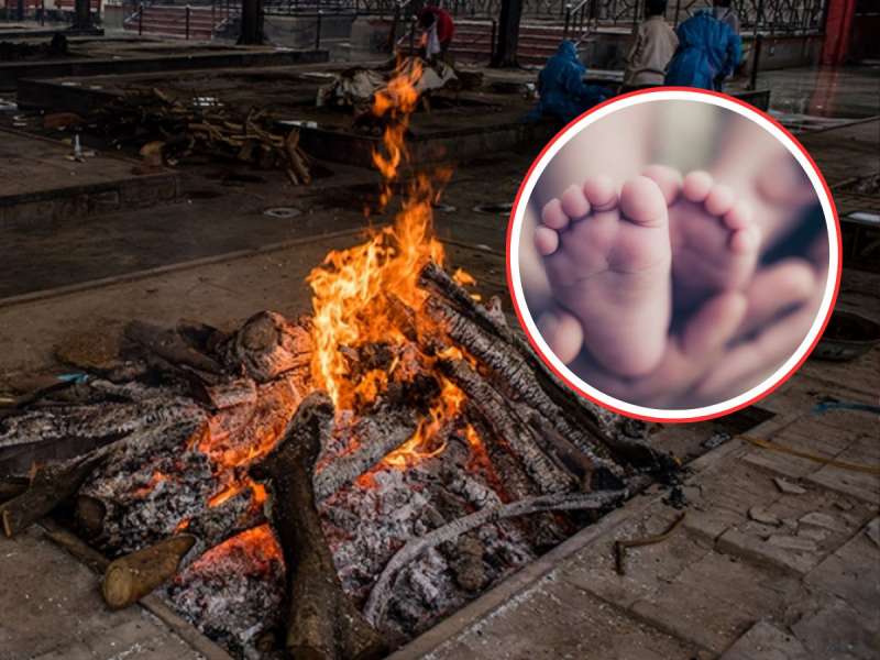 'माझी बायको बाळंत होणारेय, प्लीज पैसे द्या बाबा...' नकार मिळाल्याने मुलाने संपल आयुष्य; अंत्यसंस्काराच्या 7 तासांनी....'