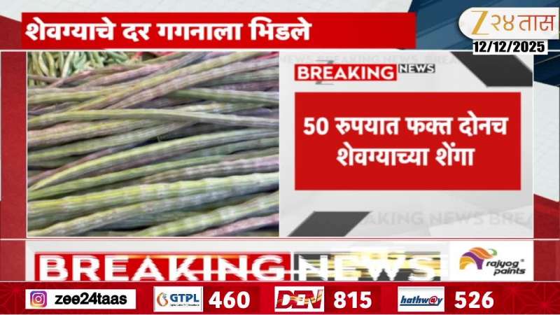 Maharashtra Moringa Price Hike As Temperature Drops