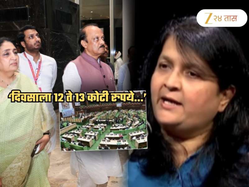'दिवसाला 12 ते 13 कोटी रुपये...'; विरोधी पक्षावर दमानिया संतापल्या, कारण ठरलं पुणे जमीन प्रकरण