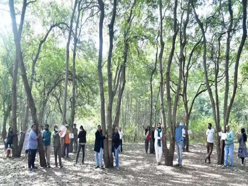 तपोवन वृक्षतोडीसंदर्भात सर्वात मोठी अपडेट, हरित लवादाकडून नाशिक पालिकेला जोरदार दणका!