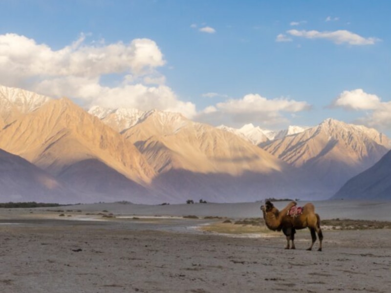 भारतात कुठंय हाडं गोठवणारं शीत वाळवंट? इथं सूर्याचा दाह नव्हे, थंडीचा जबर कडाका दाखवतो जगण्याचा संघर्ष!