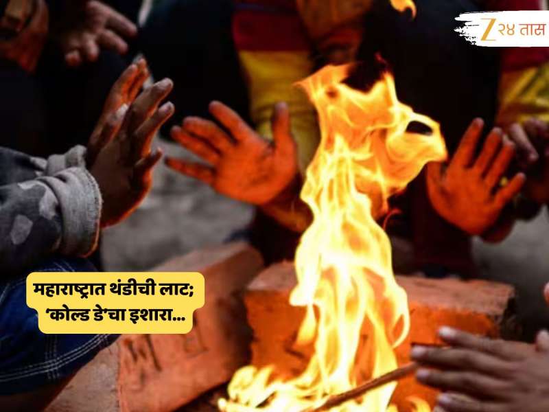Maharashtra Weather  News : महाराष्ट्रात शीत लहरींचा शिरकाव; नीचांकी तापमान 4.5 अंशांवर, कुठं घसरला पारा?