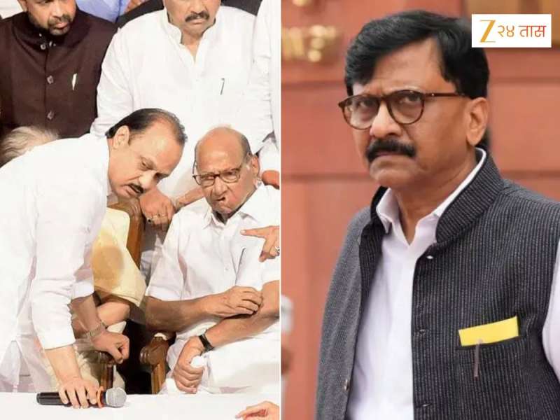 '...मग युतीत राहण्याचा अधिकार नाही', शरद पवार-अजित पवारांचा उल्लेख करत संजय राऊत स्पष्टच बोलले, 'तुम्ही मोदी, शाह...'