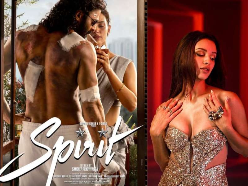 पोस्टर बॉइजपासून Animal पर्यंत ; 9 चित्रपटांच्या प्रवासात तृप्तीचे सुपरहीट चित्रपट किती?