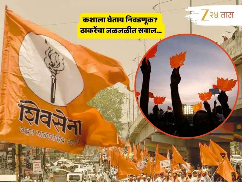 ...तर पुन्हा निवडणुका होणार? बिनविरोध विजयाची डबडी, नाचकाम करणाऱ्या भाजप-शिंदेगटावर शिवसेना UBT चा घणाघात