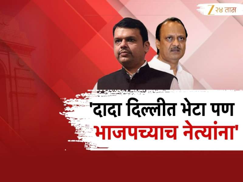 गल्लीतला वाद दिल्लीपर्यंत गाजवणार; अजित पवारांची दिल्लीवारी? फडणवीस तिकीट काढणार?