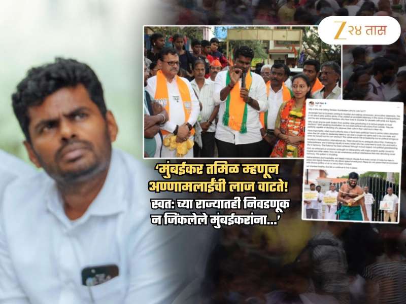 'अण्णामलाई स्वत: पराभूत उमेदवार, ते काय इथल्या तमिळींना...'; मुंबईकर तमिळीयन व्यक्तीने झापलं