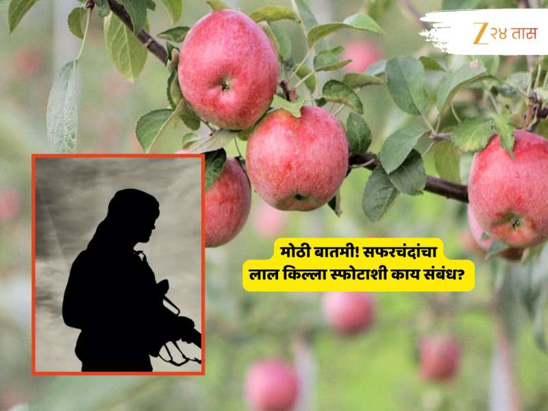 Delhi Red Fort Blast : सफरचंद आणि लाल किल्ला स्फोटाचा संबंध काय? NIA तपासातून खळबळजनक माहिती 