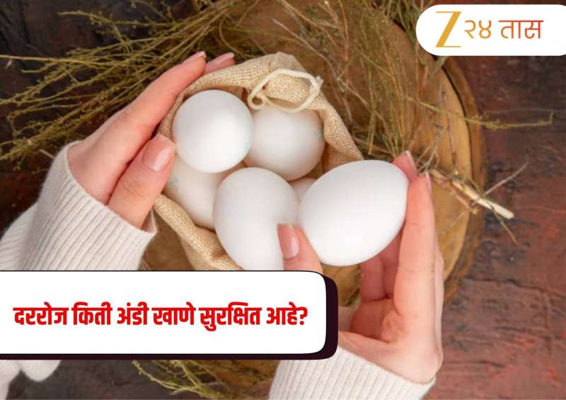 Eating Eggs: दररोज किती अंडी खाणे सुरक्षित आहे? जाणून घ्या तज्ञांकडून 