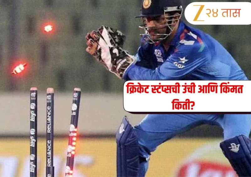 क्रिकेट स्टंप्सची उंची आणि किंमत? आयसीसीची मान्यता कधी मिळाली? जाणून घ्या इंटरेस्टिंग माहिती 