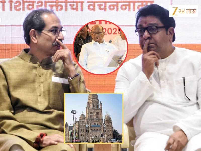 मुंबई महापौर निवडणुकीआधी राज आणि उद्धव ठाकरेंना मोठा धक्का! शरद पवारांच्या राष्ट्रवादीने फिरवले काटे