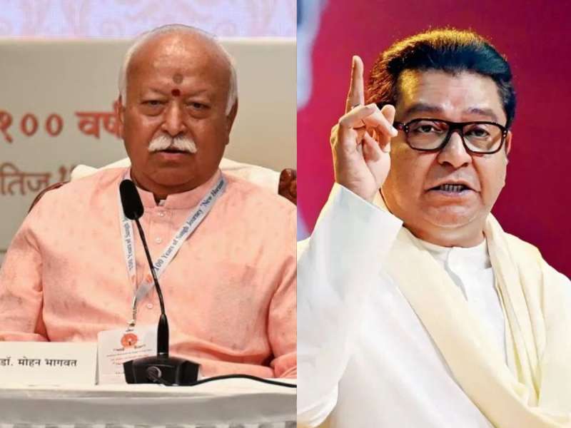 'RSS ची शंभरी तर तुमचा पक्ष 2-4 दशकातच...', मोहन भागवतांवर संतापलेल्या राज ठाकरेंना भाजपचं प्रत्युत्तर!