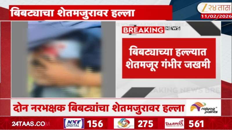 Nashik Leopard Attack News