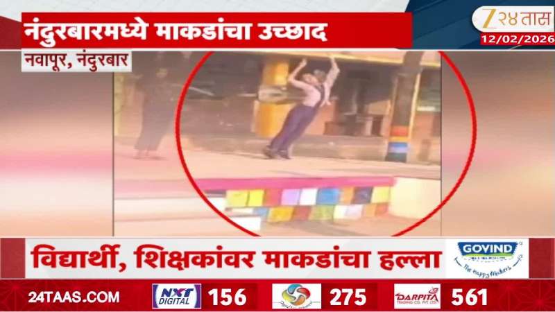 Nandurbar Monekey School News