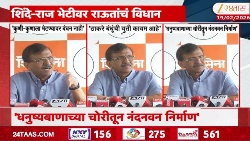 Sheetal Mhatre on Raj Thackeray Eknath Shidne Meet