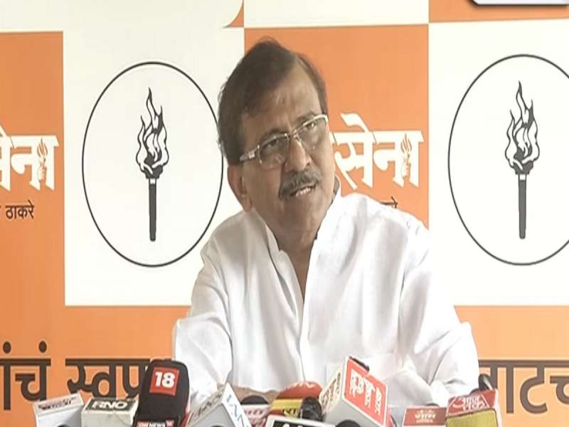 ठाकरे बंधूंच्या युतीत मिठाचा खडा?, संजय राऊतांनी दिलेल्या उत्तराची का होतेय चर्चा?