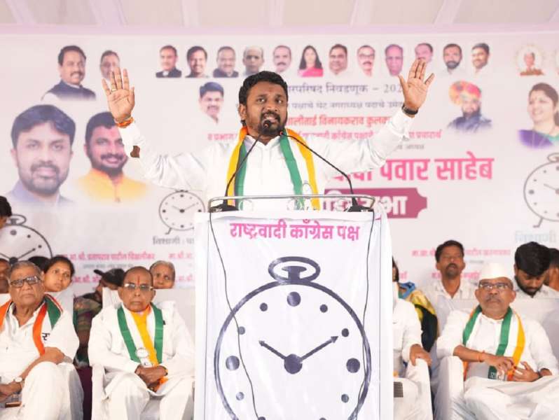 'पक्षात हवेतले नेते आहेत,' अमोल मिटकरीचं सडेतोड मत, म्हणाले '4-5 नेत्यांवर पक्ष मोठा होत नसतो'
