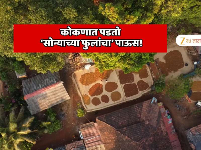 कोकणात पडतो सोन्याचा फुलांचा पाऊस! नकाशात सुद्धा न दिसणाऱ्या गावात होते लाखोची कमाई; पर्यटकांना वर्षभर असते प्रतिक्षा 